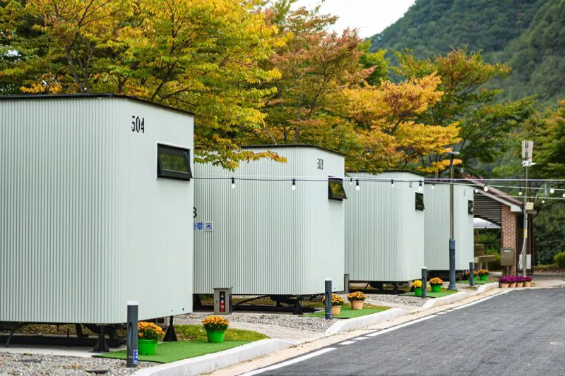 청량산 수원캠핑장 11