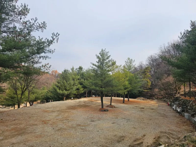 (에드203) 플라네캠핑장 8