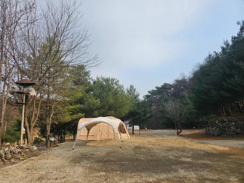 (에드203) 플라네캠핑장 7