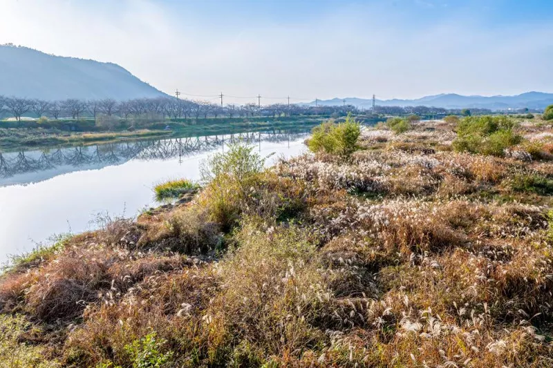 영벽정오토캠핑장 10