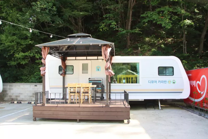 디뮤어 카라반 5