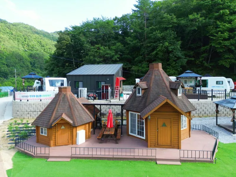 디뮤어 카라반 8