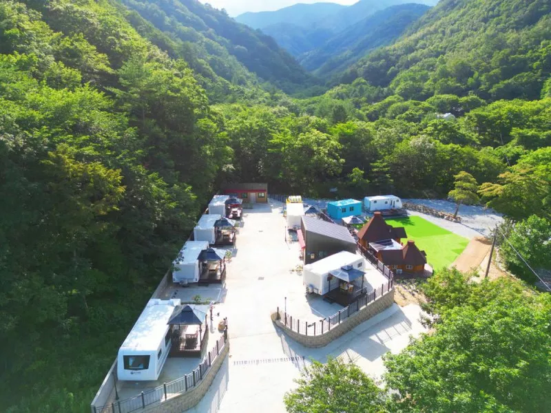 디뮤어 카라반 7