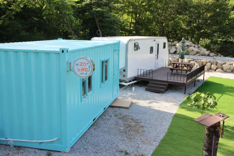 디뮤어 카라반 10