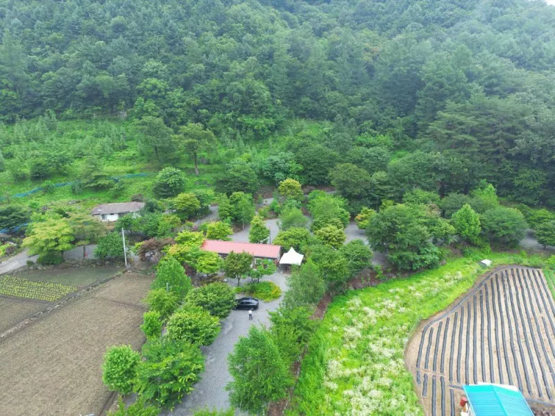 행복한나드리캠핑장 3