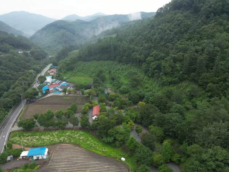 행복한나드리캠핑장 11