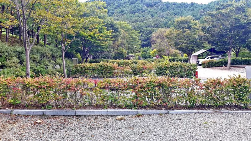 대둔산 수락오토캠핑장 5