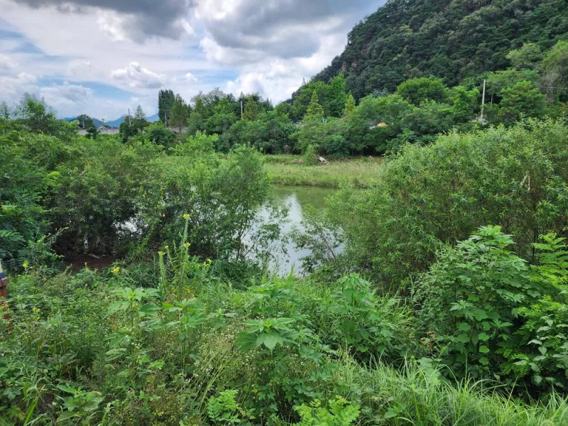 포천 글램파크 글램핑 카라반 5