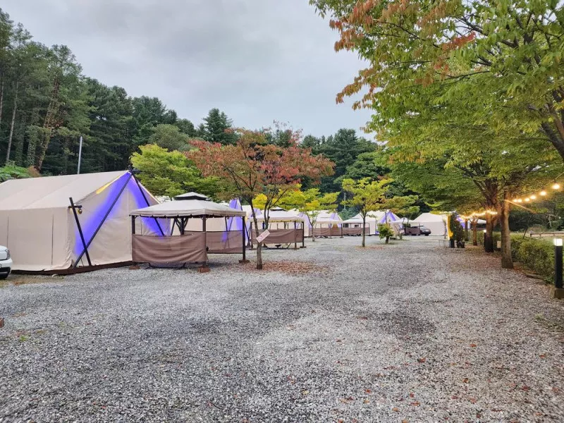 달빛정원글램핑&카라반 7