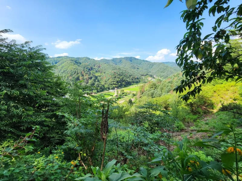 가평 오블리비아테 수영장 펜션&카라반 10