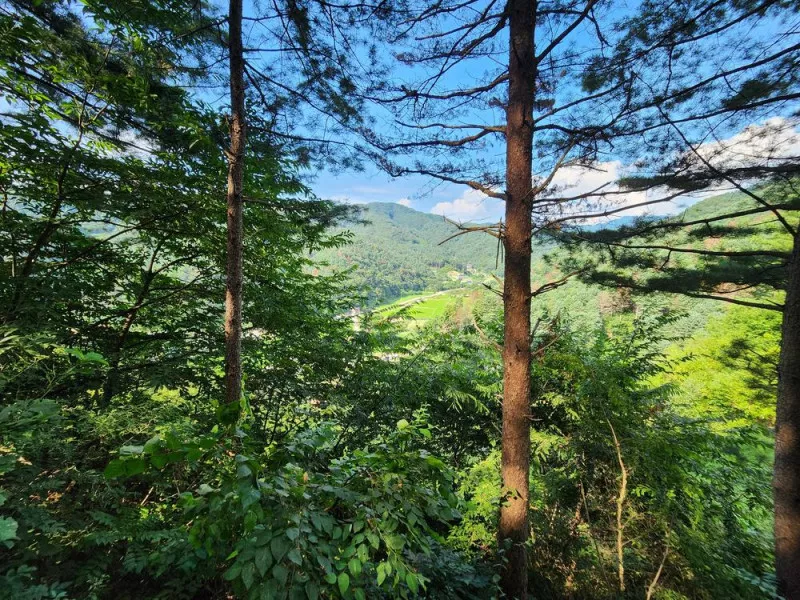 가평 오블리비아테 수영장 펜션&카라반 9