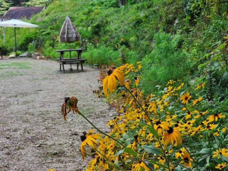 가평 오블리비아테 수영장 펜션&카라반 11