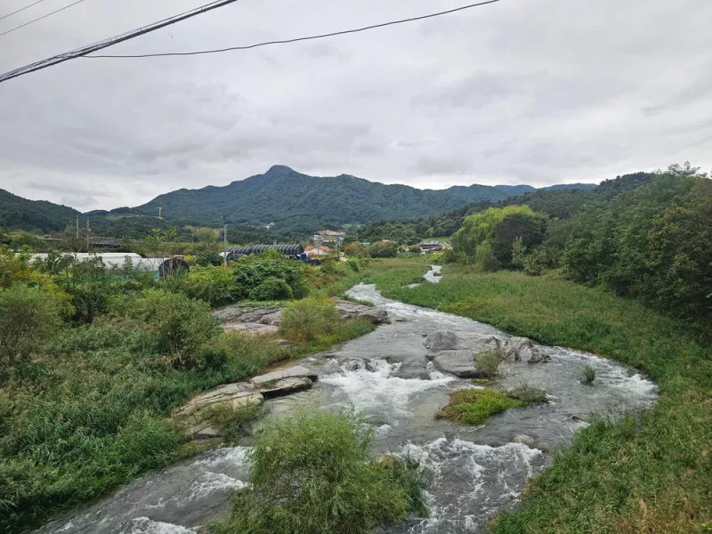 리틀 포레스트 캠핑 11