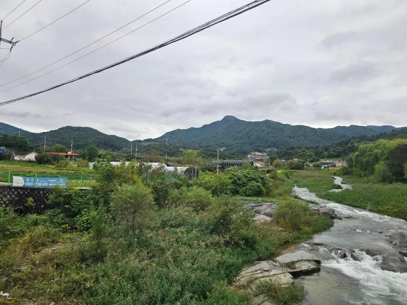 리틀 포레스트 캠핑 10