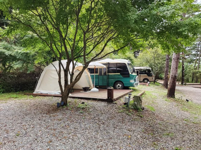 리틀 포레스트 캠핑 9