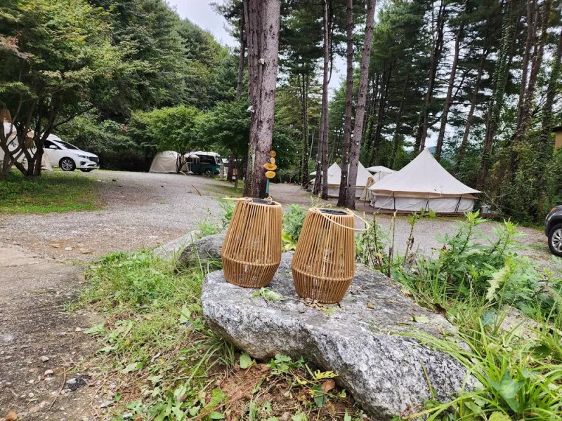 리틀 포레스트 캠핑 8