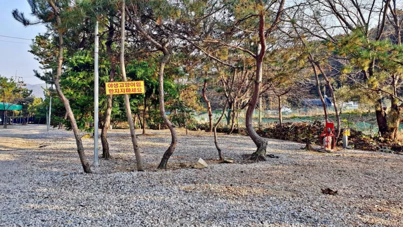 산우물 북 캠핑장 10