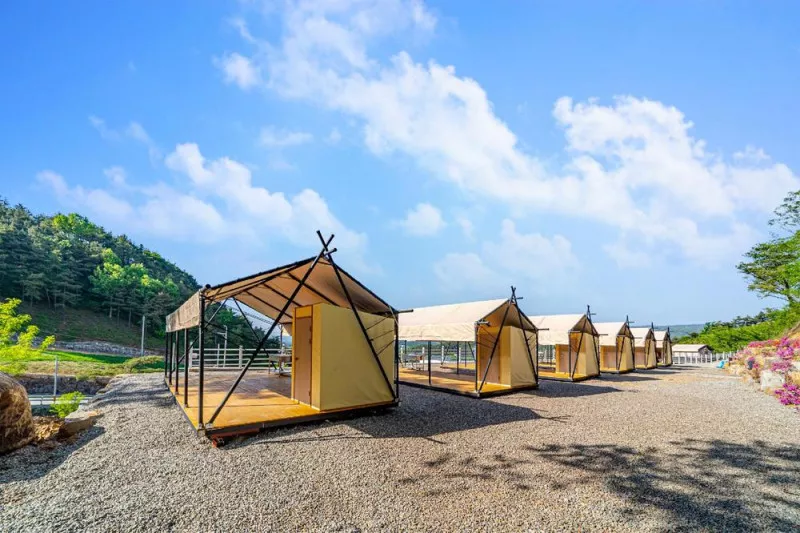 산청프리미엄캠핑장 4