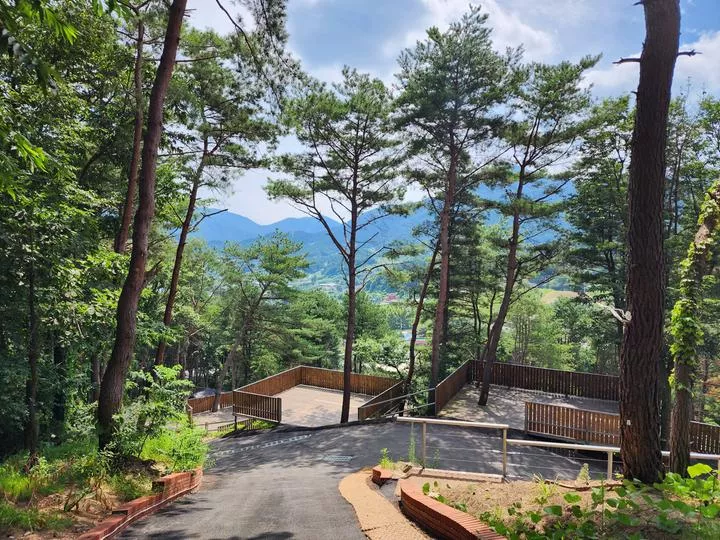 선택적고립캠핑장