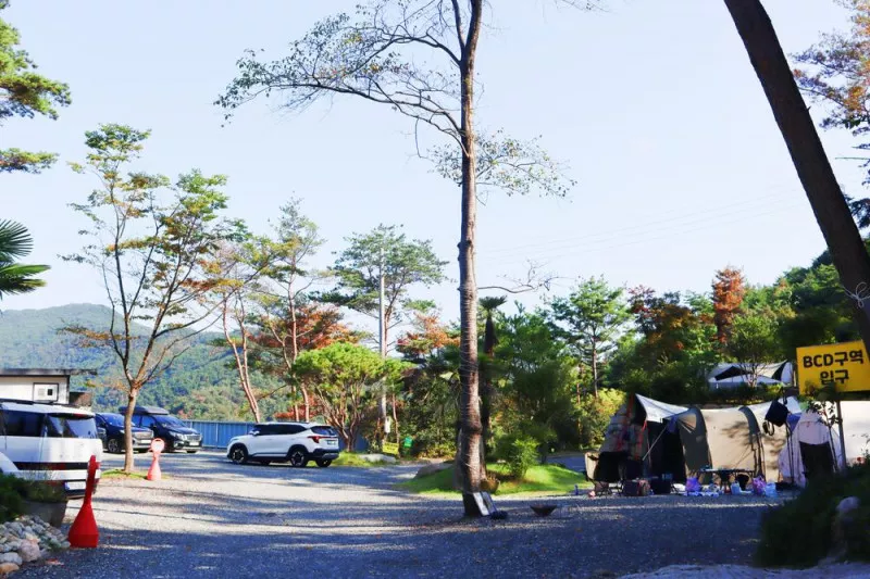 (주)러블레싱(LOVEBLEESING INC) 5