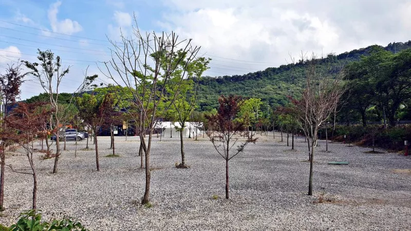 워터사이드 캠핑장 5