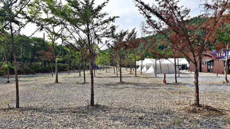 워터사이드 캠핑장 11