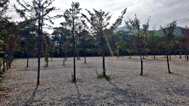 워터사이드 캠핑장 9