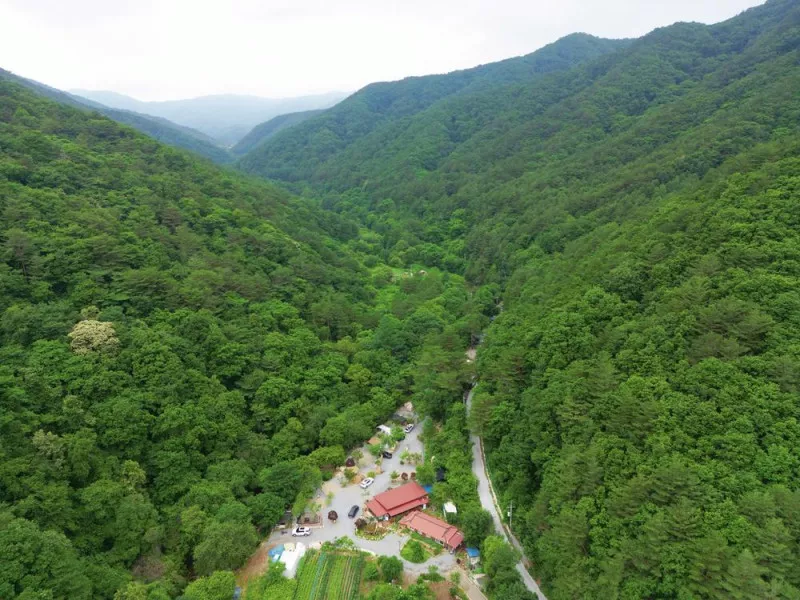 유포리아 캠핑장 3