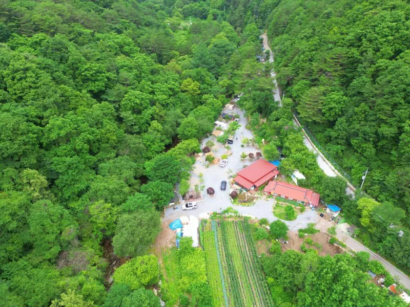 유포리아 캠핑장 2