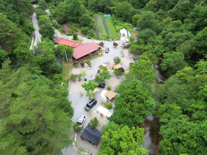 유포리아 캠핑장 8