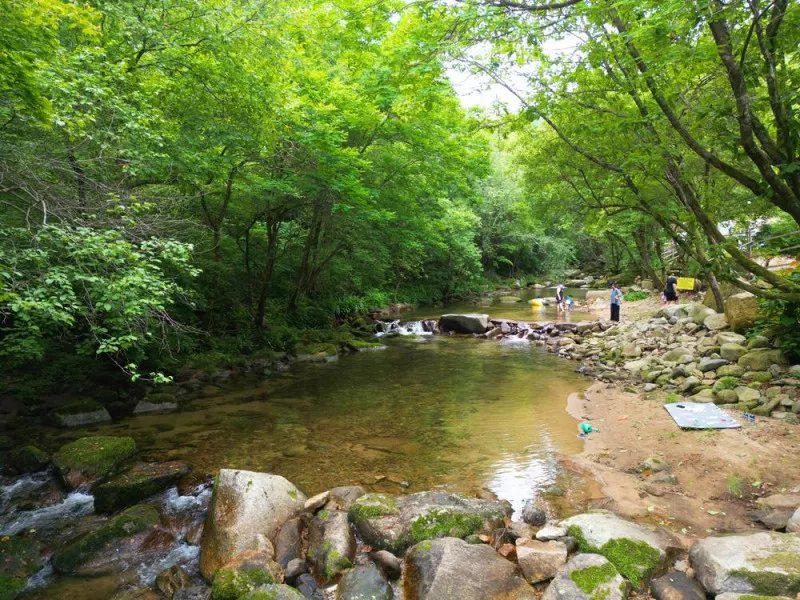 유포리아 캠핑장 6