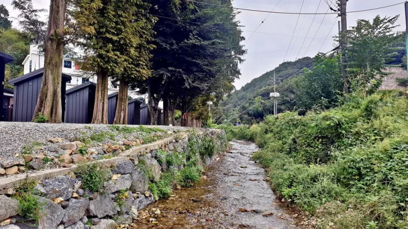 큰마당 오토 캠핑장 6