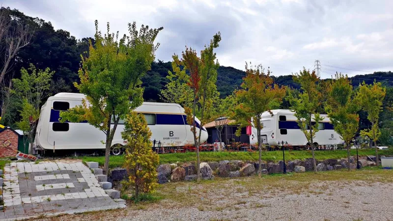 금산 뮤지엄B캠핑장 4