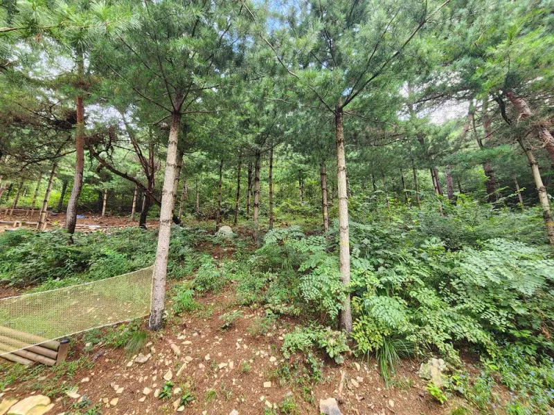 신암저수지 숲속야영장 7