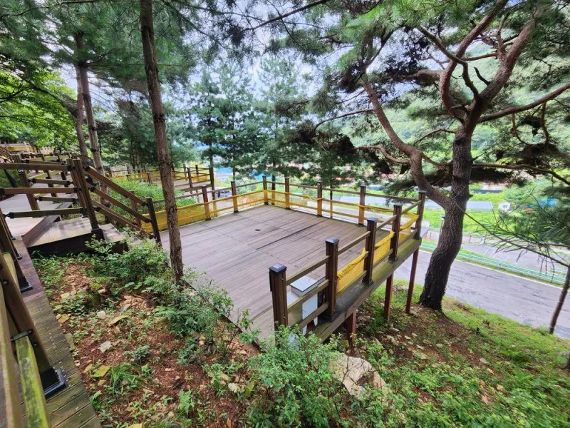 신암저수지 숲속야영장 9