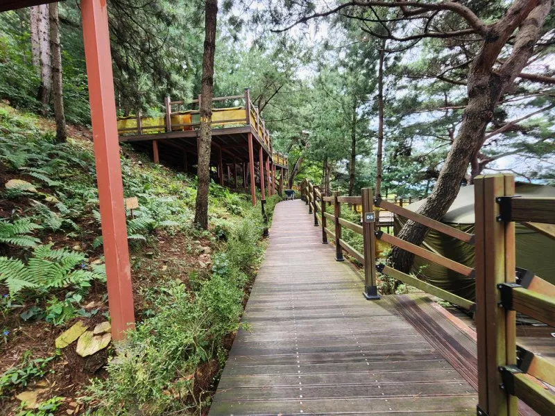 신암저수지 숲속야영장 8