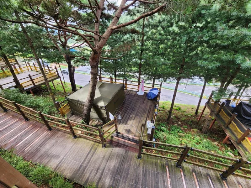 신암저수지 숲속야영장 6