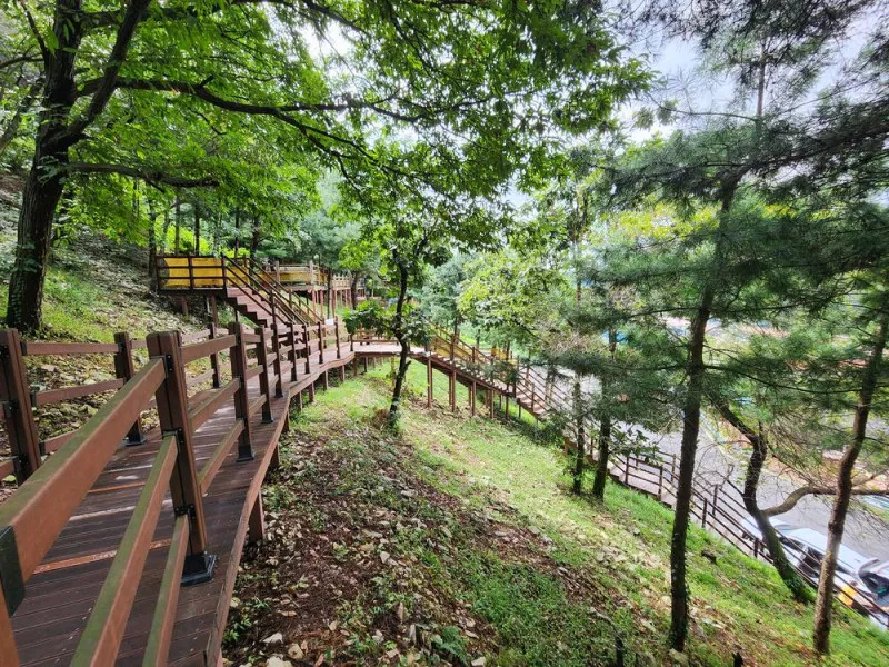 신암저수지 숲속야영장 10