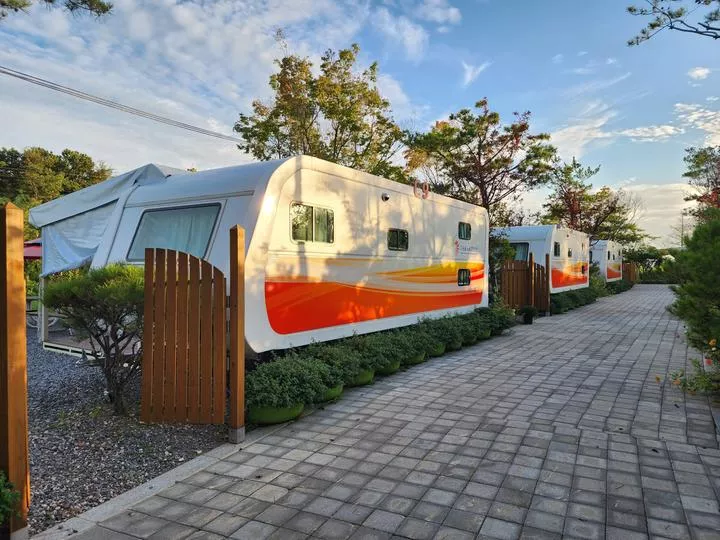 다온숲 노을 캠핑정원