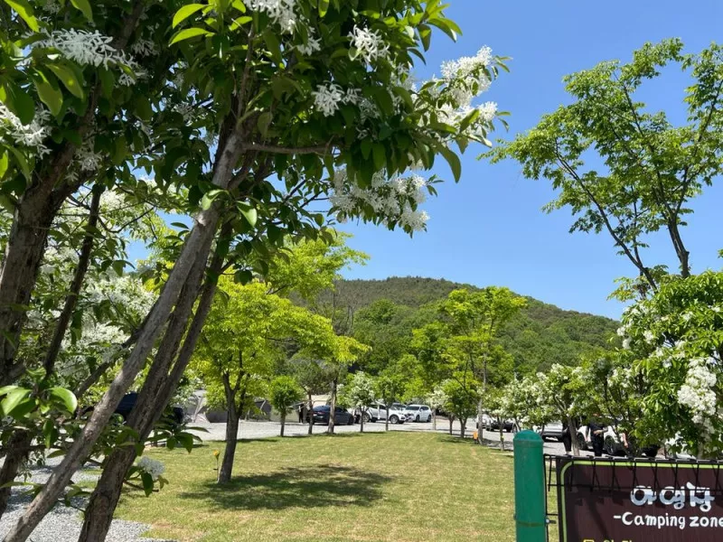 빨래터캠핑장 11