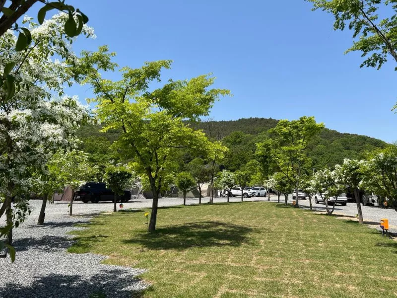 빨래터캠핑장 7