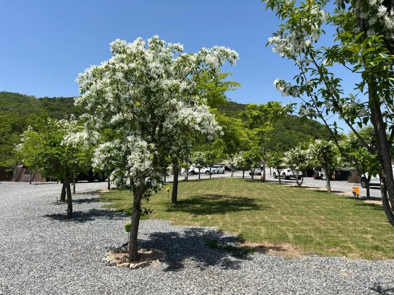 빨래터캠핑장 8