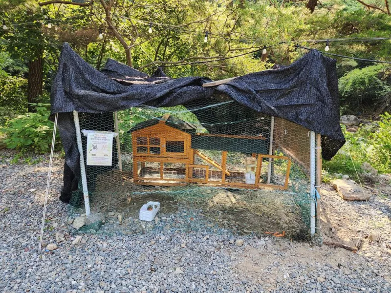 레드우드캠핑장 8