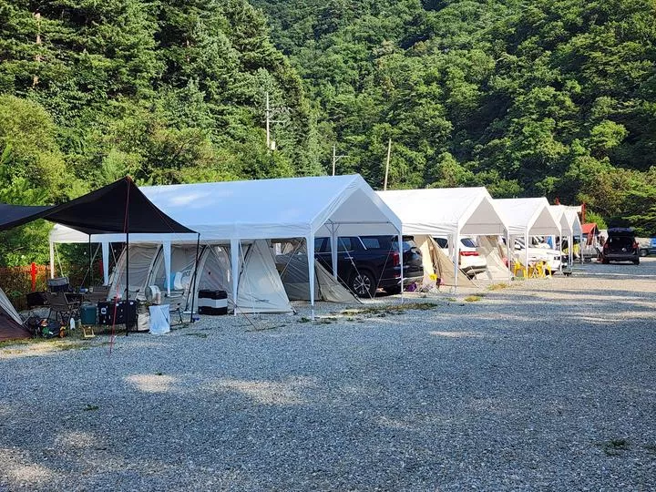 레드우드캠핑장