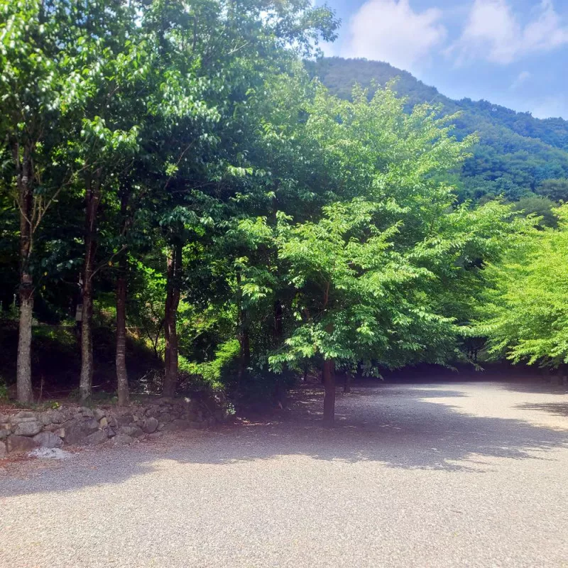 별삼킨별캠핑장 9