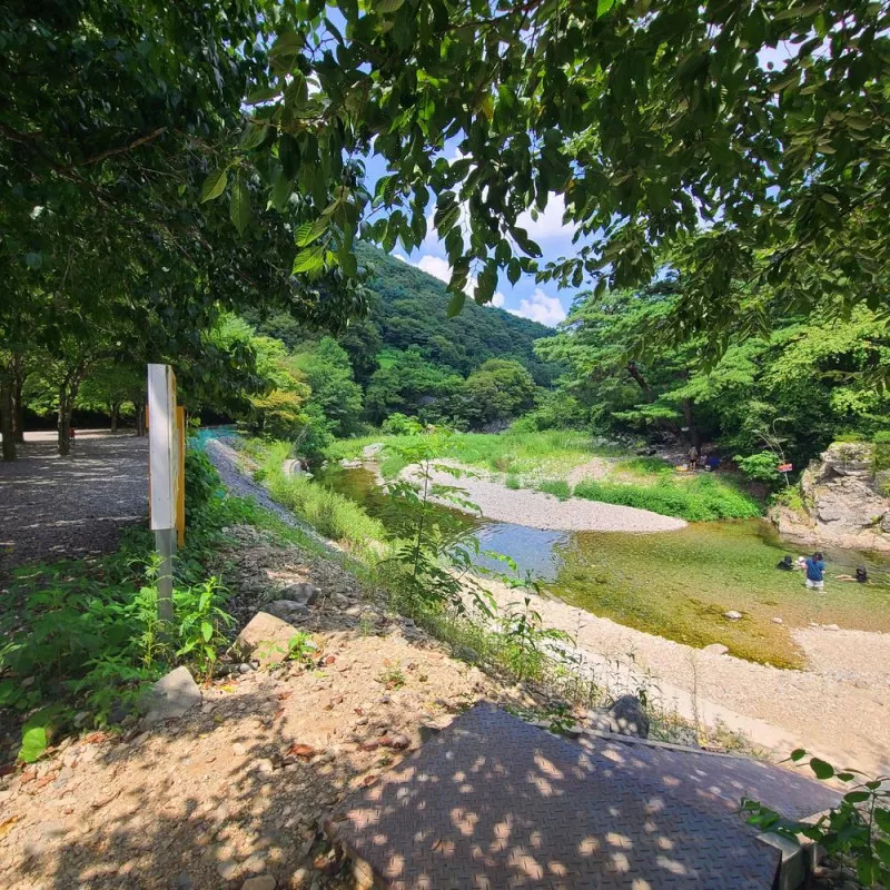 별삼킨별캠핑장 5