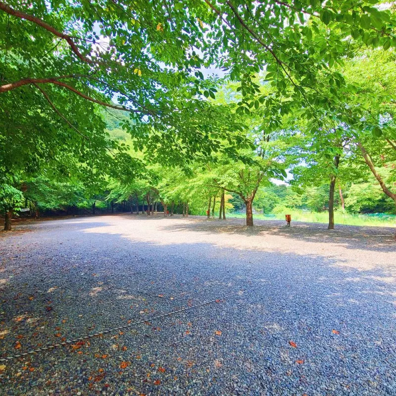 별삼킨별캠핑장 2