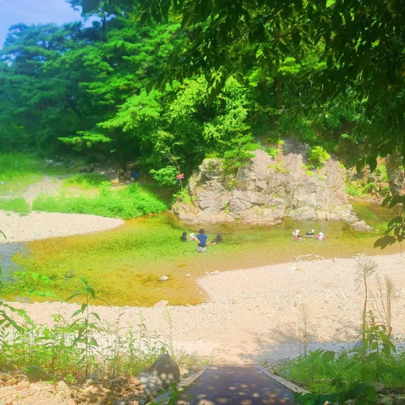 별삼킨별캠핑장 6