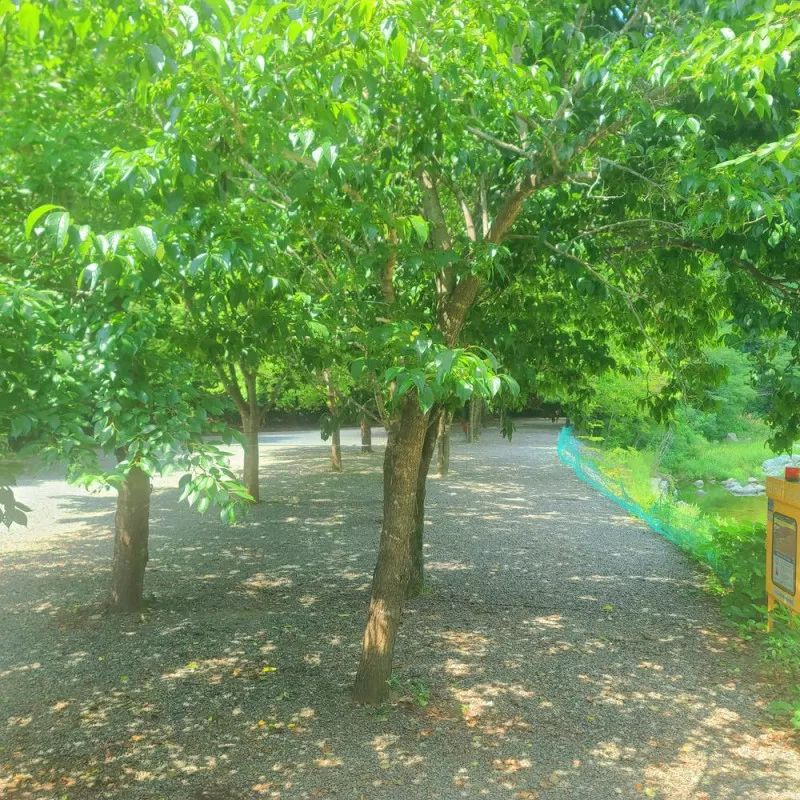 별삼킨별캠핑장 7