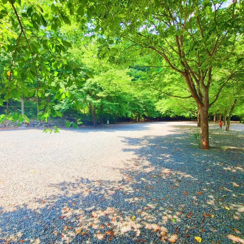 별삼킨별캠핑장 3